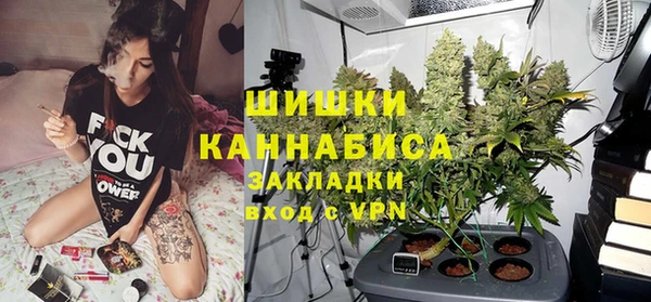 шишки Козловка