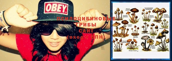 шишки Козловка