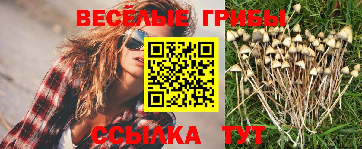 Галлюциногенные грибы Magic Shrooms Магадан